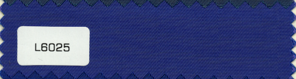L6025