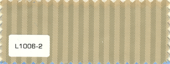 L1006-2