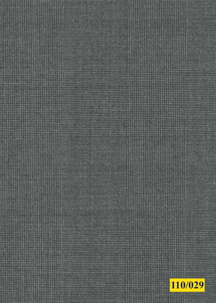 110/029