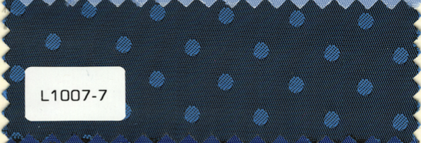 L1007-7