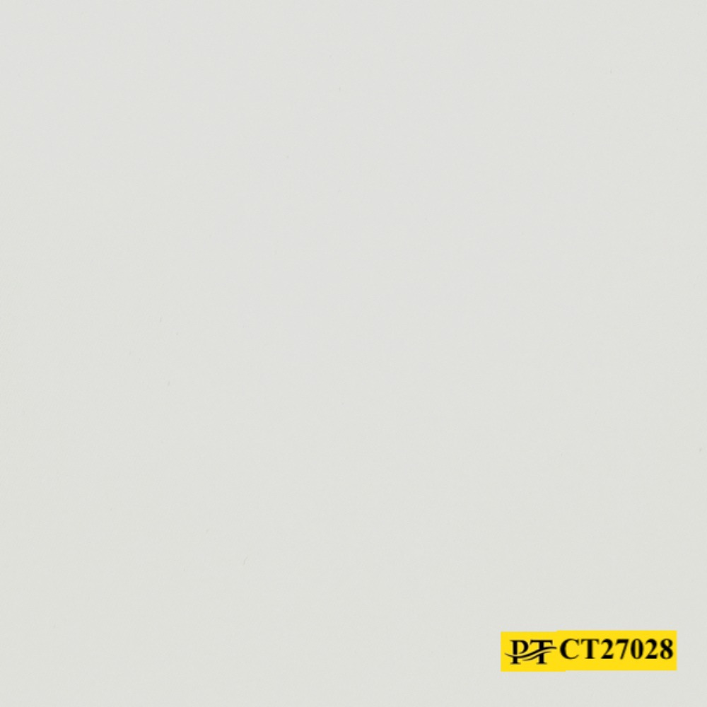 CT27028