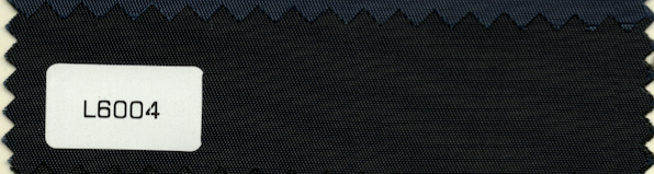 L6004