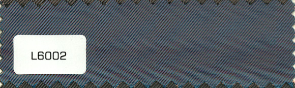 L6002