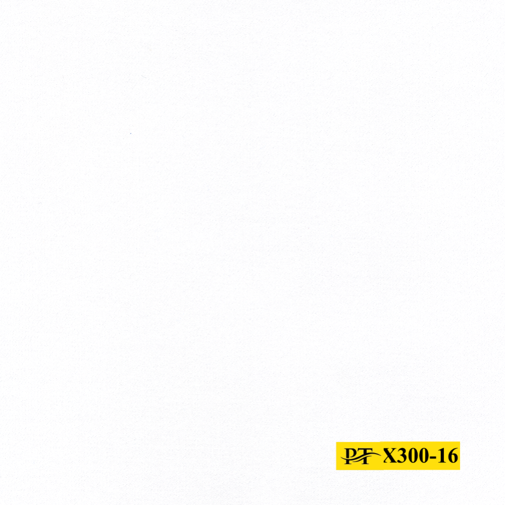 X300-16