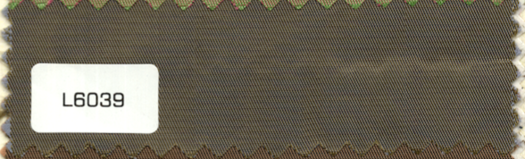 L6039