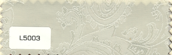 L5003