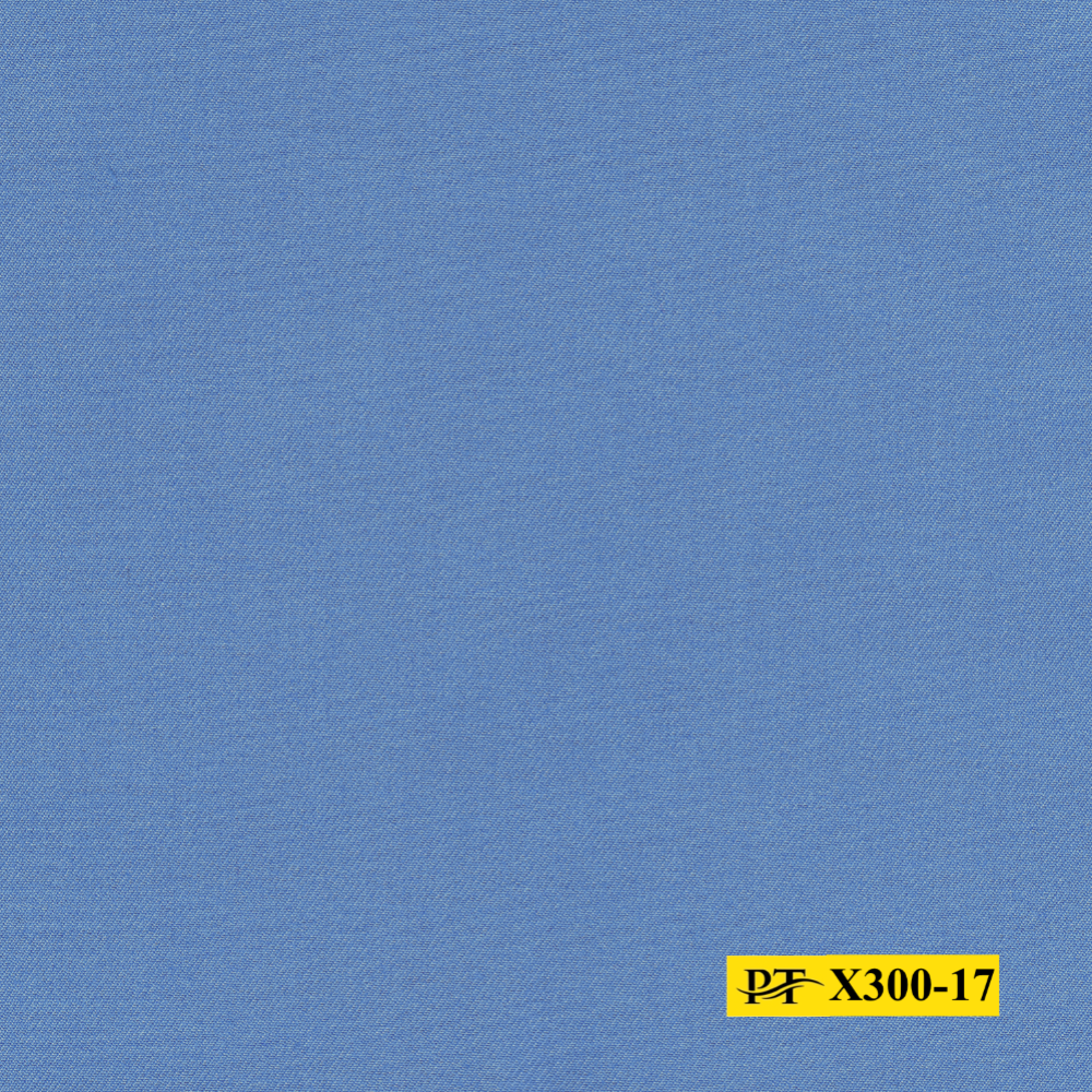 X300-17